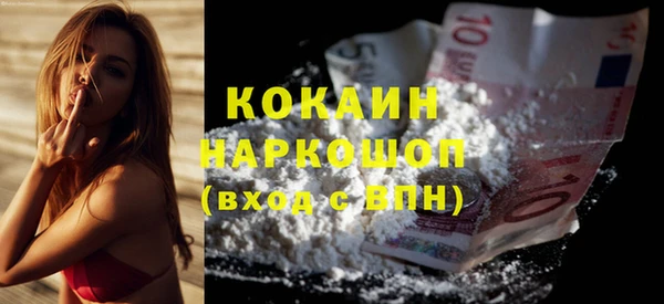 гидра Аркадак