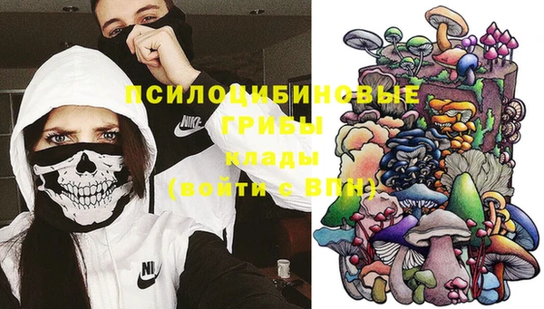 spice Алексеевка